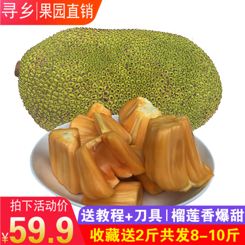 Vietnam fresh fruit Red meat jackfruit Red Dict.cn Net content 8-10 Tropical season 40in the Aquatic meat/Fresh fruits and vegetables/Cooked , Fresh fruit , Other category - from Buy2taobao.com to provide professional Taobao agent buy service