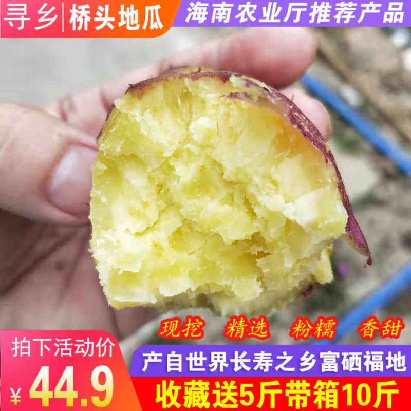 海南澄迈沙地桥头富硒地瓜带箱10斤新鲜农家桥沙板栗薯红薯番薯|msdalam kategori daging perikanan/Buah-buahan segar dan sayur-sayuran/dimasak, buah-buahan segar, lain - dari Buy2taobao.com untuk memberikan perkhidmatan ejen Taobao profesional membeli