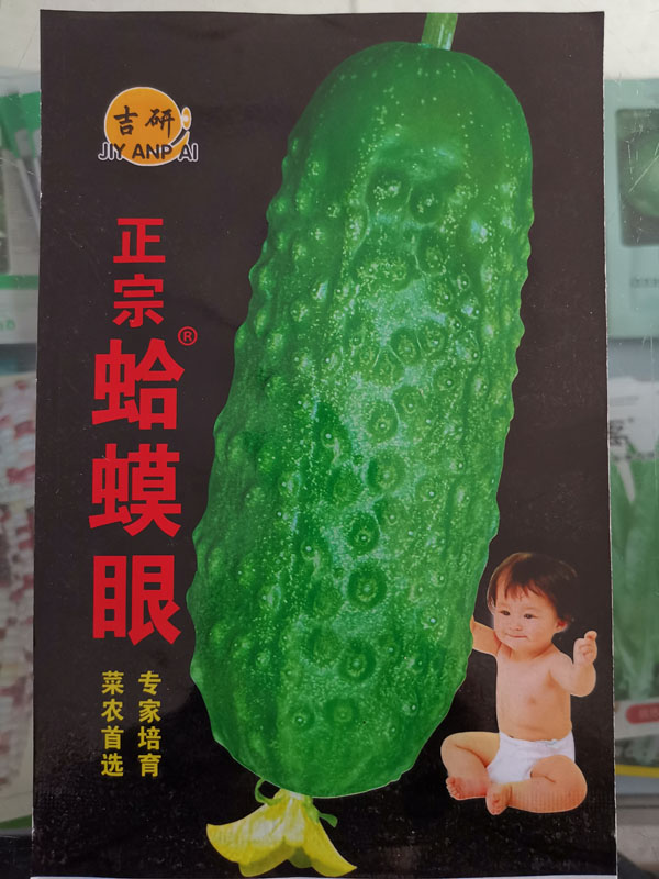 蛤蟆眼水果黄瓜种子四季高产农家田园阳台盆栽蔬菜夏季旱小黄籽5g在类目 农用物资, 种子/种苗, 蔬菜种子中 - 来自Buy2taobao.com提供专业的淘宝代购服务