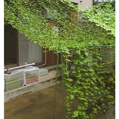 瓜果爬藤網藤蔓花卉爬藤植物用網園藝網防護網爬騰網攀爬網嫁接網在類目 鮮花速遞/花卉仿真/綠植園藝, 園藝用品, 其它園藝用品中 - 來自Buy2taobao.com提供專業的淘寶代購服務