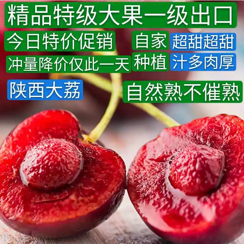 应季新鲜樱桃车厘子新鲜水果特级脆甜孕妇原生态现摘现发3斤大果|ruв категории водной мясо/свежие фрукты и овощи/еда, свежие фрукты, вишня/вишня - от Buy2taobao.com для оказания профессиональной услуги покупки агента Taobao
