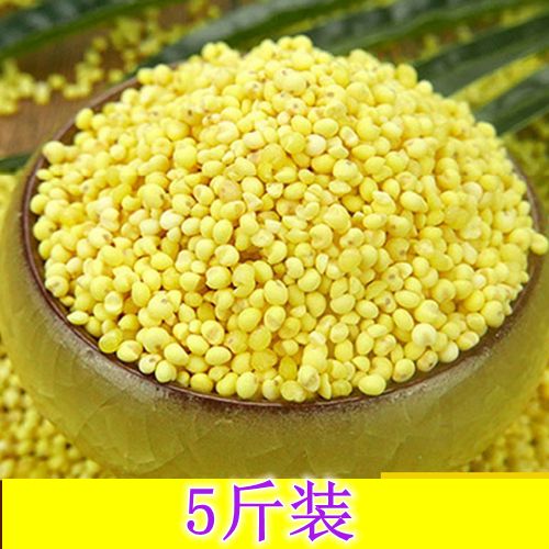 东北大黄米5斤 农家新米糯小米粘豆包粽子小米粥糯黏粘黄米黍子米在类目 粮油米面/南北干货/调味品, 米/面粉/杂粮, 米类, 小米中 - 来自Buy2taobao.com提供专业的淘宝代购服务