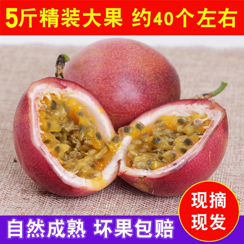 广西百香果西番莲鸡蛋果新鲜水果批发精装大红果5斤包邮|msdalam kategori daging perikanan/Buah-buahan segar dan sayur-sayuran/dimasak, buah-buahan segar, Passion Fruit - dari Buy2taobao.com untuk memberikan perkhidmatan ejen Taobao profesional membeli