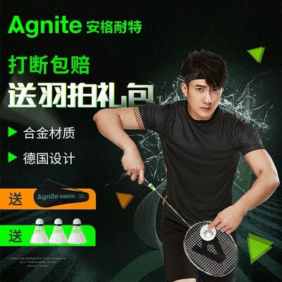 安格耐特羽毛球拍双拍成人耐用球拍羽拍套装耐打型羽毛球单拍2支