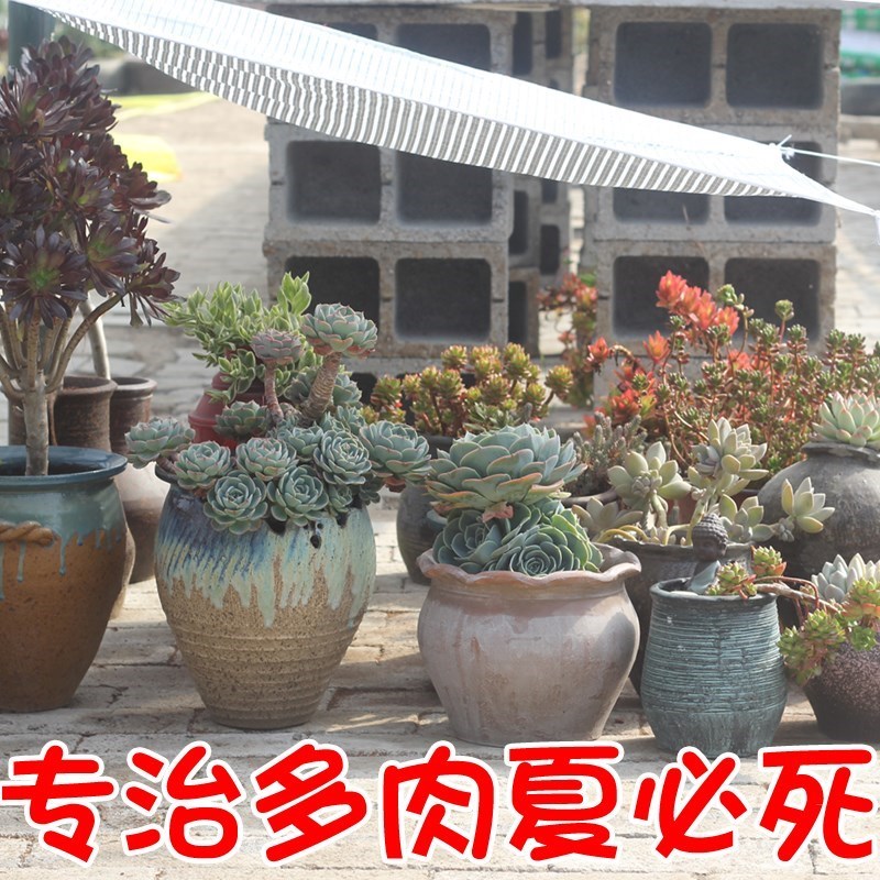 铝箔网银白色遮阳网户外网加厚大棚庭院防晒阳台花卉遮阴网隔热网在类目 鲜花速递/花卉仿真/绿植园艺, 园艺用品, 其它园艺用品中 - 来自Buy2taobao.com提供专业的淘宝代购服务