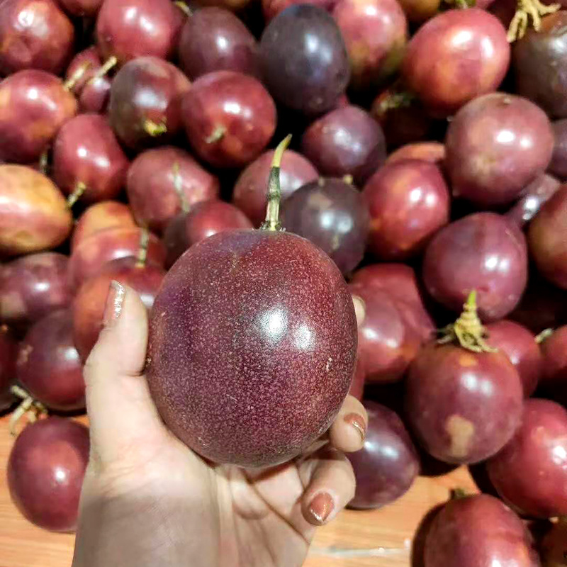 百香果包邮精选大果品质爆款酸甜可口西番莲5斤|msdalam kategori daging perikanan/Buah-buahan segar dan sayur-sayuran/dimasak, buah-buahan segar, Passion Fruit - dari Buy2taobao.com untuk memberikan perkhidmatan ejen Taobao profesional membeli