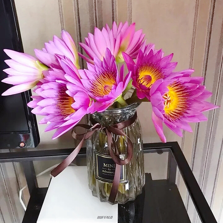上门紫色睡莲荷花鲜花有香味广州速递莲花求神供佛家居办公室一周在类目 鲜花速递/花卉仿真/绿植园艺, 鲜花速递(同城)中 - 来自Buy2taobao.com提供专业的淘宝代购服务