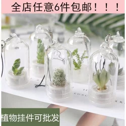 新款创意试管绿色植物钥匙扣挂件 迷你多肉仙人掌小礼品送人礼物在类目 鲜花速递/花卉仿真/绿植园艺, 创意迷你植物中 - 来自Buy2taobao.com提供专业的淘宝代购服务