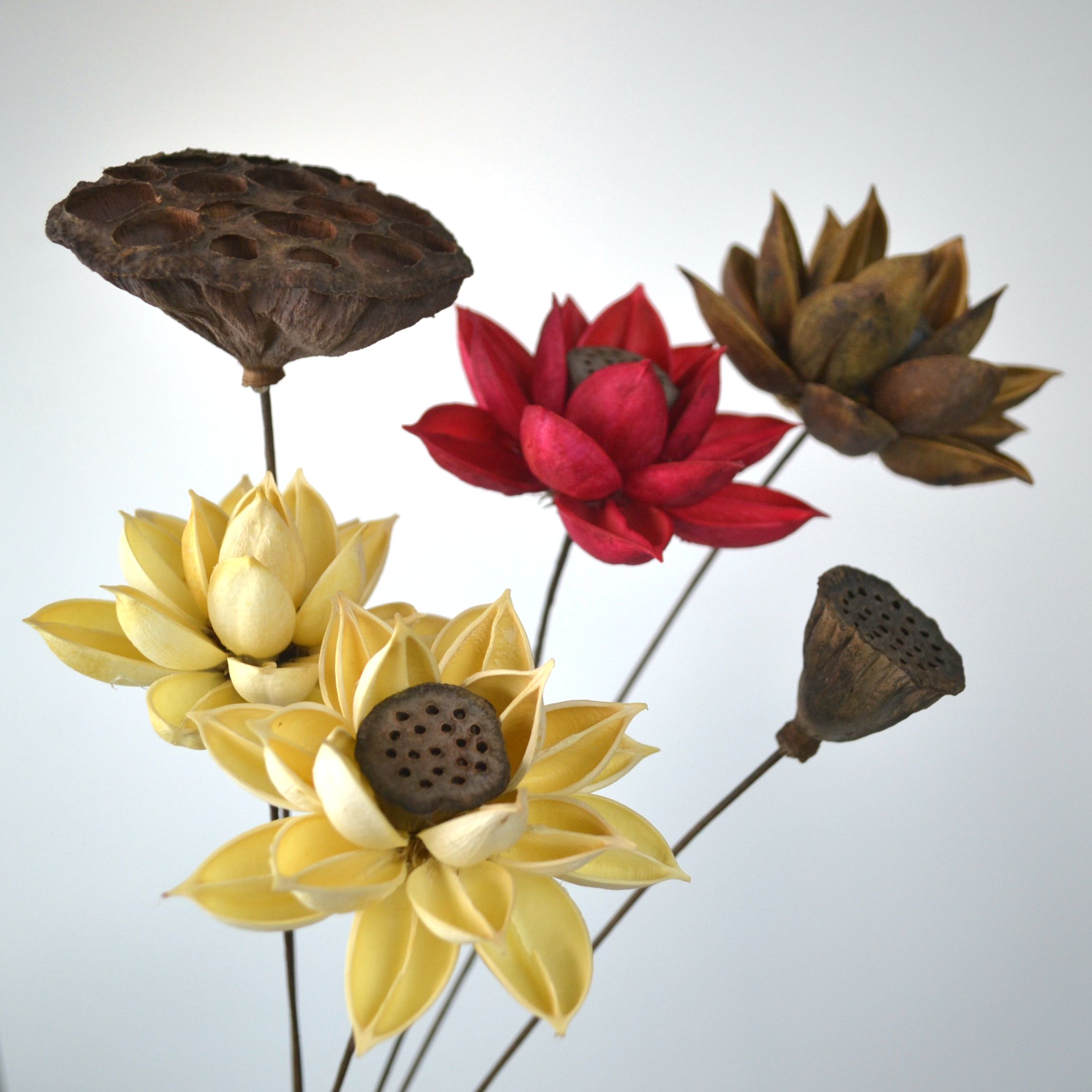 幹花蓮藕荷花蓮花客廳台面套裝家居落地裝飾花花束仿真插花幹蓮蓬在類目 家居飾品, 花瓶/花器/仿真花/仿真飾品, 乾花/花瓣/乾花包/幹樹枝中 - 來自Buy2taobao.com提供專業的淘寶代購服務