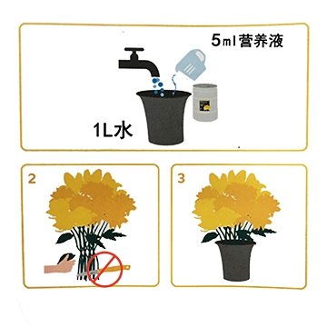花之寿®专用免切200 免切花茎鲜花采后处理花店浓缩1.8L方便装在类目 鲜花速递/花卉仿真/绿植园艺, 园艺用品, 家庭园艺肥料/营养土/营养液中 - 来自Buy2taobao.com提供专业的淘宝代购服务