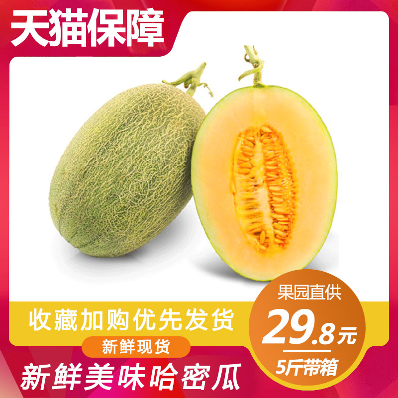 Cantaloupe 5 pounds Xi Zhou Melon muskmelon Season fruit fresh Nutritionin the Aquatic meat/Fresh fruits and vegetables/Cooked , Fresh fruit , Cantaloupe category - from Buy2taobao.com to provide professional Taobao agent buy service