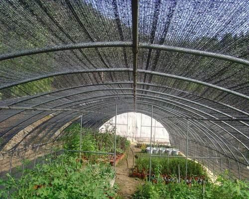 Shade net courtyard balcony Sun Network thickening encryption Shade net greenhouse Agriculture Roof heat insulation Sunscreenin the Flower delivery/Flowers simulation/Plants gardening , Gardening supplies , Other Garden Supplies category - from Buy2taobao.com to provide professional Taobao agent buy service