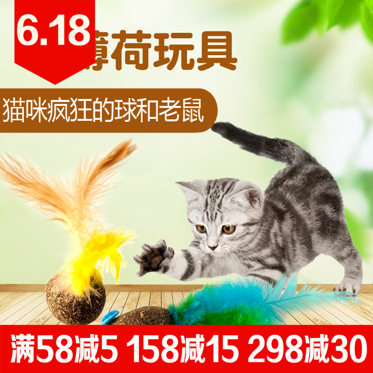 包邮猫玩具猫薄荷老鼠带羽毛逗猫球猫零食洁齿猫草去毛球猫咪用品在类目 宠物/宠物食品及用品, 猫/狗玩具, 橡胶球/球形玩具中 - 来自Buy2taobao.com提供专业的淘宝代购服务