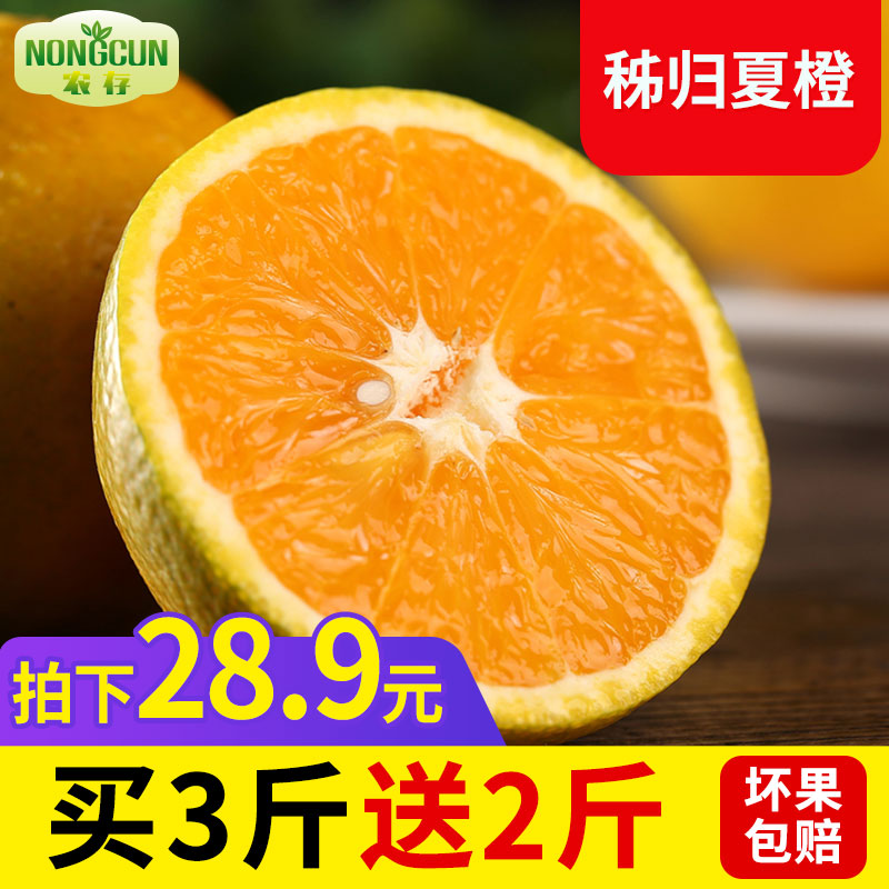 农存 新鲜现摘秭归夏橙当季应季水果橙子甜橙5斤装包邮手剥脐橙在类目 水产肉类/新鲜蔬果/熟食, 新鲜水果, 橙中 - 来自Buy2taobao.com提供专业的淘宝代购服务