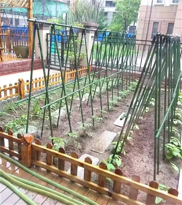 包邮园艺铁艺花支架爬藤架家庭盆栽月季铁线莲攀爬植物四脚架子在类目 鲜花速递/花卉仿真/绿植园艺, 园艺用品, 其它园艺用品中 - 来自Buy2taobao.com提供专业的淘宝代购服务