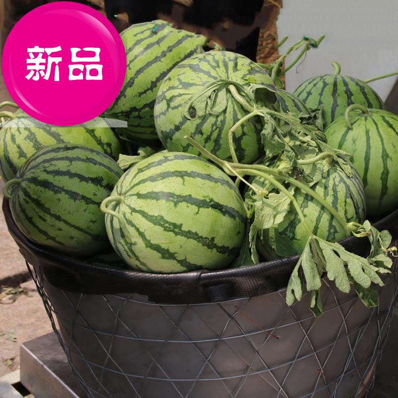 装西瓜的框圆形铁大号q水果筐加厚橘子西瓜箩筐蔬菜收纳筐框子|ruв категории коммерческий/офисная мебель, супермаркет мебель, овощной корзины/корзина фруктов - от Buy2taobao.com для оказания профессиональной услуги покупки агента Taobao