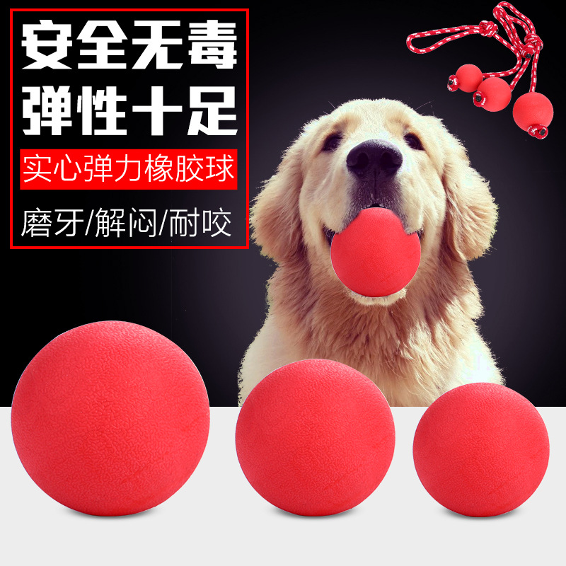 寵物耐咬不爛球實心橡膠彈力球玩具狗球耐咬訓狗球訓犬球狗啃咬球在類目 寵物/寵物食品及用品, 貓/狗玩具, 其它玩具中 - 來自Buy2taobao.com提供專業的淘寶代購服務