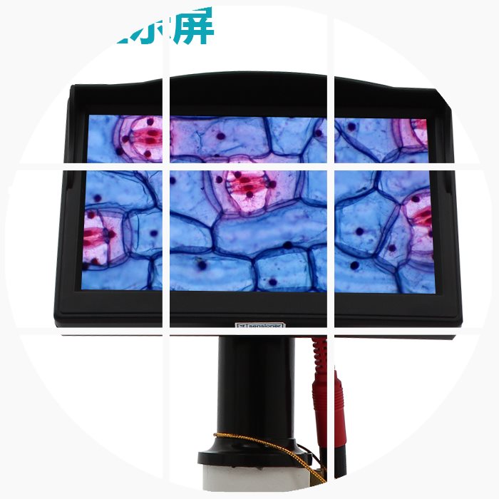 显微镜电子目镜高清液晶显示器50倍通用专业5寸7寸10寸显示屏包邮|msdalam kategori Toy/bayi/teka-teki/blok bangunan/model, pembelajaran/eksperimen/lukisan alat tulis, Eksperimen Sains - dari Buy2taobao.com untuk memberikan perkhidmatan ejen Taobao profesional membeli