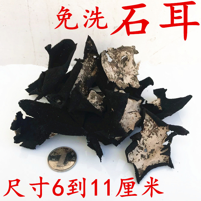 Large Huangshan Stone ear 7 11 a centimeter Jiuhua specialty wild Rock ear lichen Disposable 100 gramin the Agri rice/Dried foods/Condiment , Dried foods/Meat Dry , Dry/Native , Other category - from Buy2taobao.com to provide professional Taobao agent buy service
