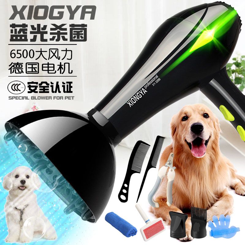 猫咪吹水机狗狗小型烘干家用洗澡电吹风通用大型吹风机吹风筒双用|msdalam kategori haiwan peliharaan/makanan haiwan dan bekalan, Cat/Anjing dandanan pembersihan bekalan, pengering rambut - dari Buy2taobao.com untuk memberikan perkhidmatan ejen Taobao profesional membeli