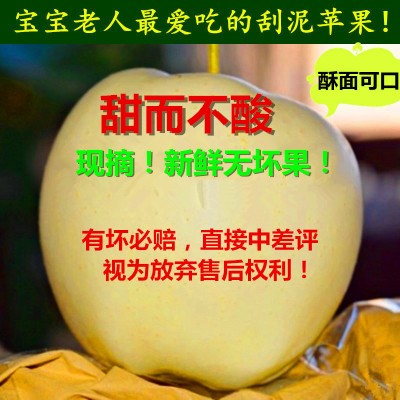 现货黄元帅香蕉苹果粉面婴儿宝宝老人刮泥新鲜黄苹果金帅苹果五斤在类目 办公设备/耗材/相关服务, 包装设备/标牌及耗材, 包裹袋/编织袋中 - 来自Buy2taobao.com提供专业的淘宝代购服务