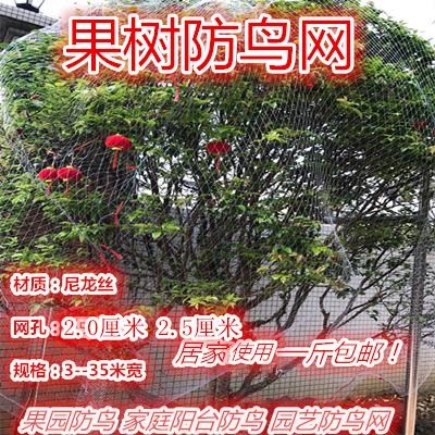 专用网农用纱网养殖果园新款防雀网抓2驱鸟防鸟网鱼线网涤纶网在类目 鲜花速递/花卉仿真/绿植园艺, 园艺用品, 其它园艺用品中 - 来自Buy2taobao.com提供专业的淘宝代购服务