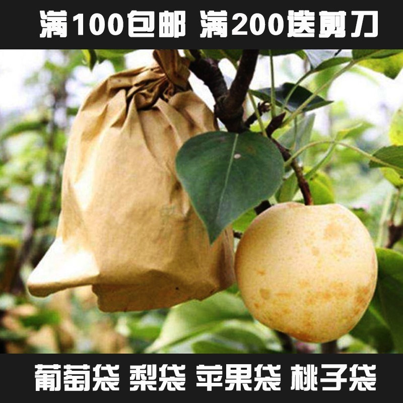套桃子果袋果农百香果膜袋果树专用黄桃猕猴桃李梨子防虫双层保护|msdalam kategori penghantaran bunga/bunga simulasi/tumbuhan berkebun, Gardening Supplies, Peralatan Perkebunan lain - dari Buy2taobao.com untuk memberikan perkhidmatan ejen Taobao profesional membeli