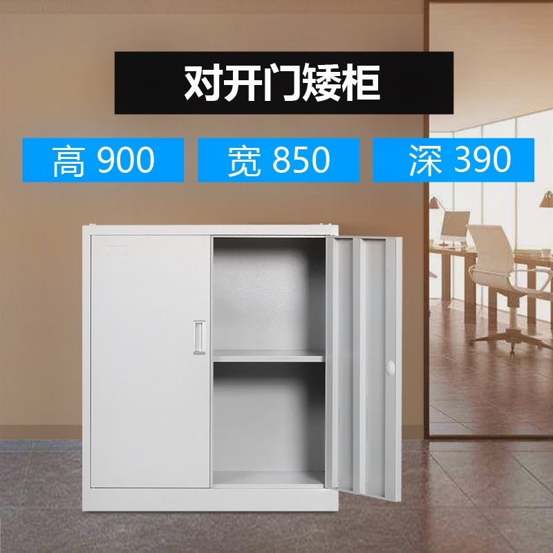 新款办公室文件柜铁皮柜带锁储物柜档案柜抽屉柜凭证柜书柜资料柜在类目 商业/办公家具, 办公家具, 办公柜类, 文件柜中 - 来自Buy2taobao.com提供专业的淘宝代购服务