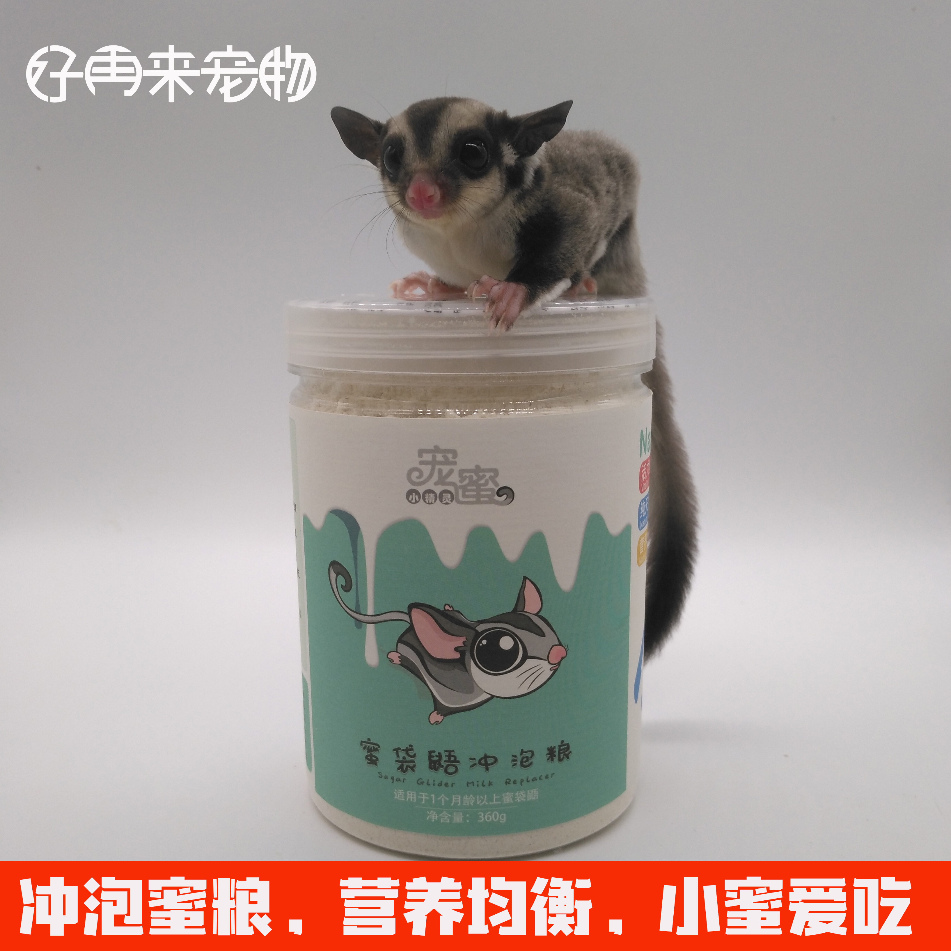 蜜袋鼯粮食蜜袋鼬小蜜主食幼蜜粮用品食物冲泡粮零食HPW配方360克|msdalam kategori haiwan peliharaan/makanan haiwan dan bekalan, hamsters kelas haiwan peliharaan dan lain-lain kecil, Feed/makanan ringan - dari Buy2taobao.com untuk memberikan perkhidmatan ejen Taobao profesional membeli