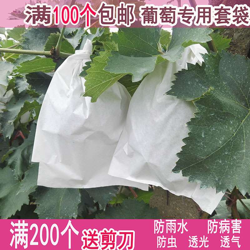 葡萄袋子防虫袋露天葡萄套袋果袋专用套袋防水套葡萄用纸袋育果袋在类目 鲜花速递/花卉仿真/绿植园艺, 园艺用品, 其它园艺用品中 - 来自Buy2taobao.com提供专业的淘宝代购服务