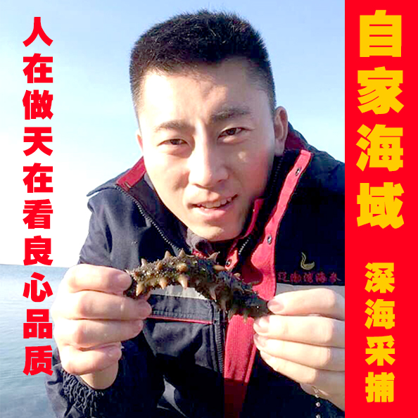 遼渤灣 高品質深海野生即食海參刺參 大連即食海滲500g禮盒單個裝在類目 水產肉類/新鮮蔬果/熟食, 海鮮/水產品/製品, 海蔘中 - 來自Buy2taobao.com提供專業的淘寶代購服務