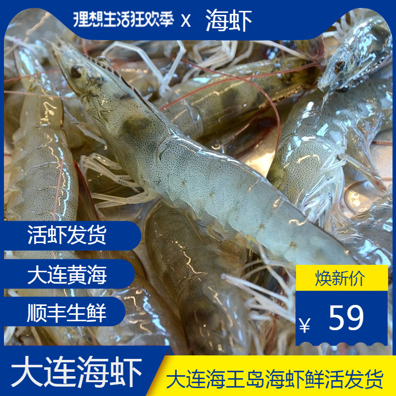 大连海虾活虾发货青虾白虾海虾鲜活基围虾黄海海虾顺丰包邮大虾在类目 水产肉类/新鲜蔬果/熟食, 海鲜/水产品/制品, 虾类, 活虾中 - 来自Buy2taobao.com提供专业的淘宝代购服务