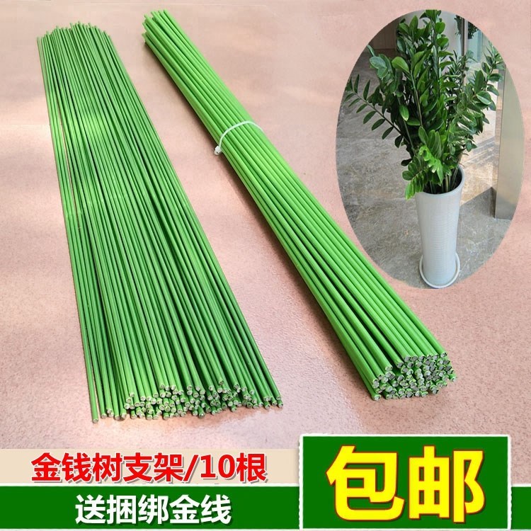 盆景金錢樹鐵絲盆栽蘭花支撐杆子鐵線支架攀爬爬藤架瓜果蔬菜扶枝在類目 鮮花速遞/花卉仿真/綠植園藝, 園藝用品, 其它園藝用品中 - 來自Buy2taobao.com提供專業的淘寶代購服務