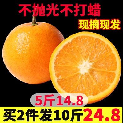 新鲜夏橙果冻橙子5斤当季水果脐橙手剥橙拍2件发10斤赣南奉节包邮