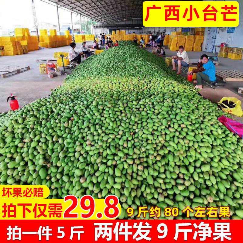 廣西小台芒小台農芒果新鮮包郵 拍2件帶箱約10斤當季水果混發在類目 水產肉類/新鮮蔬果/熟食, 新鮮水果, 芒果中 - 來自Buy2taobao.com提供專業的淘寶代購服務