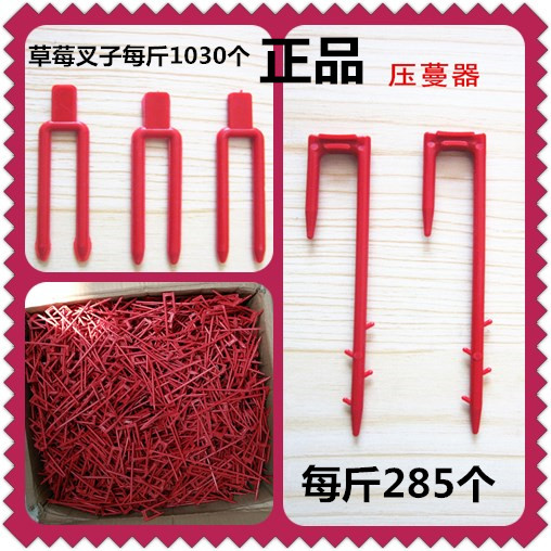 strawberry Fork muskmelon watermelon grow seedlings keep down the vines of a creeping plant by covering them with earth at regular intervals Vines Retainer keep down the vines of a creeping plant by covering them with earth at regular intervals take rootin the Flower delivery/Flowers simulation/Plants gardening , Gardening supplies , Other Garden Supplies category - from Buy2taobao.com to provide professional Taobao agent buy service