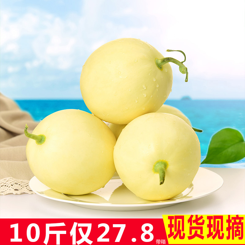 现摘现发陕西阎良新鲜头茬甜瓜白香瓜10斤带箱包邮非羊角蜜绿宝在类目 水产肉类/新鲜蔬果/熟食, 新鲜水果, 哈密瓜中 - 来自Buy2taobao.com提供专业的淘宝代购服务