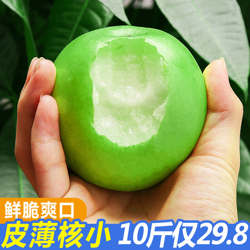 新鮮青蘋果10斤包郵帶箱孕婦應季新鮮水果酸甜脆蘋果野生醜蘋果在類目 水產肉類/新鮮蔬果/熟食, 新鮮水果, 蘋果中 - 來自Buy2taobao.com提供專業的淘寶代購服務