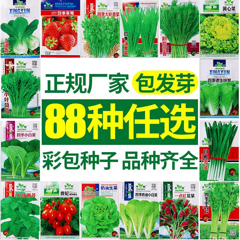 Vegetables seed Four seasons balcony Farm courtyard Potted plant Pepper tomato cucumber Chives Parsley strawberryin the Flower delivery/Flowers simulation/Plants gardening , Flowers/Fruits and vegetables/Lawn seed (New) , Home & Garden Seeds category - from Buy2taobao.com to provide professional Taobao agent buy service