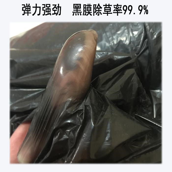 果园地膜农用白色黑色除草膜反光膜双色银黑膜装修保护膜塑料薄膜|msdalam kategori Aksesori rumah, barang kemas lain - dari Buy2taobao.com untuk memberikan perkhidmatan ejen Taobao profesional membeli