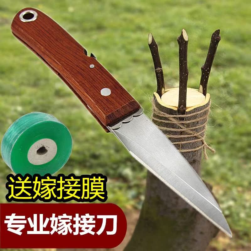 接树嫁接刀特级芽接刀德国果树架接器神器送膜嫁接树木水果苗剪刀在类目 鲜花速递/花卉仿真/绿植园艺, 园艺用品, 园艺/刀/剪/锯(新), 芽接刀中 - 来自Buy2taobao.com提供专业的淘宝代购服务