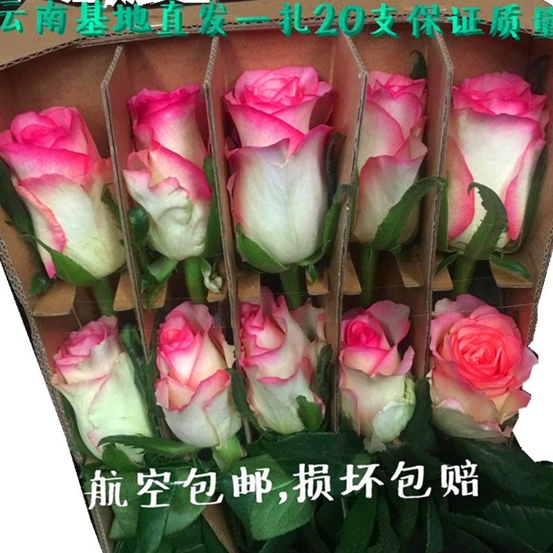 云南基地直发520花束办公室家庭客厅水养瓶插花情人节鲜花速递|ruв категории доставка цветов/цветок моделирования/растения садоводства, доставка цветов (город) - от Buy2taobao.com для оказания профессиональной услуги покупки агента Taobao