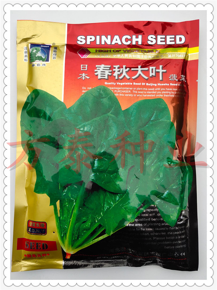菜种籽四季阳台种菜日本春秋大叶菠菜农家田园春播在类目 农用物资, 种子/种苗, 蔬菜种子中 - 来自Buy2taobao.com提供专业的淘宝代购服务