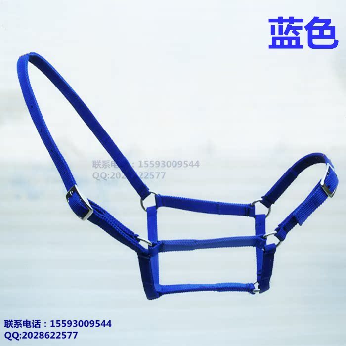 Popularity Special Offer Bridle Horse faucet Bridle Horse cagein the Sports/Yoga/Fitness/Fans supplies , Equestrian Sports , Horse equipment , Horse/Leading tune category - from Buy2taobao.com to provide professional Taobao agent buy service