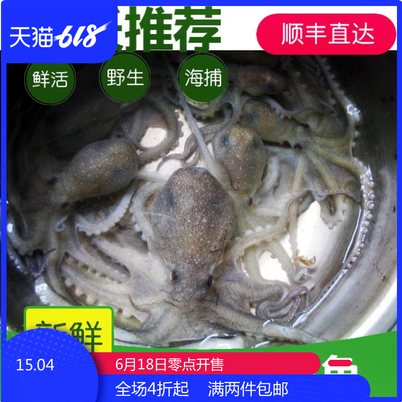 海鲜水产鲜活新鲜野生八爪鱼鲜活八带鱼新鲜章鱼长蛸墨鱼|ruв категории водной мясо/свежие фрукты и овощи/еда, морепродукты/водные продукты/изделия, осьминог, замороженный спрут - от Buy2taobao.com для оказания профессиональной услуги покупки агента Taobao