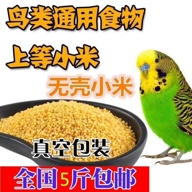 包邮5斤装】2.5kg鹦鹉吃小米无壳小米小黄米粟米黄谷子鸟粮鸟食物在类目 橡塑材料及制品, 塑料容器, 塑料袋/编织袋中 - 来自Buy2taobao.com提供专业的淘宝代购服务