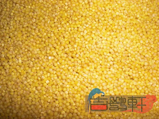 小米/毛小米/去壳小米/鹦鹉粮/鸟食/仓鼠粮/天然谷物\400g在类目 宠物/宠物食品及用品, 鸟类及用品, 鸟食中 - 来自Buy2taobao.com提供专业的淘宝代购服务