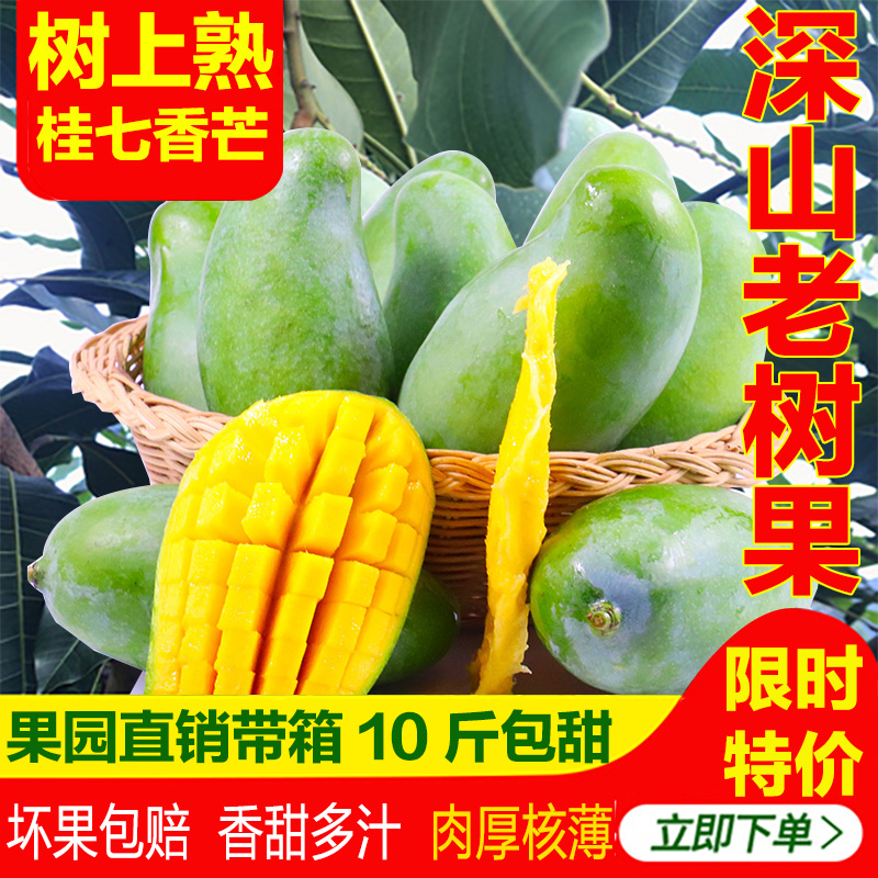 Tree Mango Guangxi Baise Tiandong 7 Mango Qingmang fresh fruit 10 Jinin the Aquatic meat/Fresh fruits and vegetables/Cooked , Fresh fruit , Mango category - from Buy2taobao.com to provide professional Taobao agent buy service