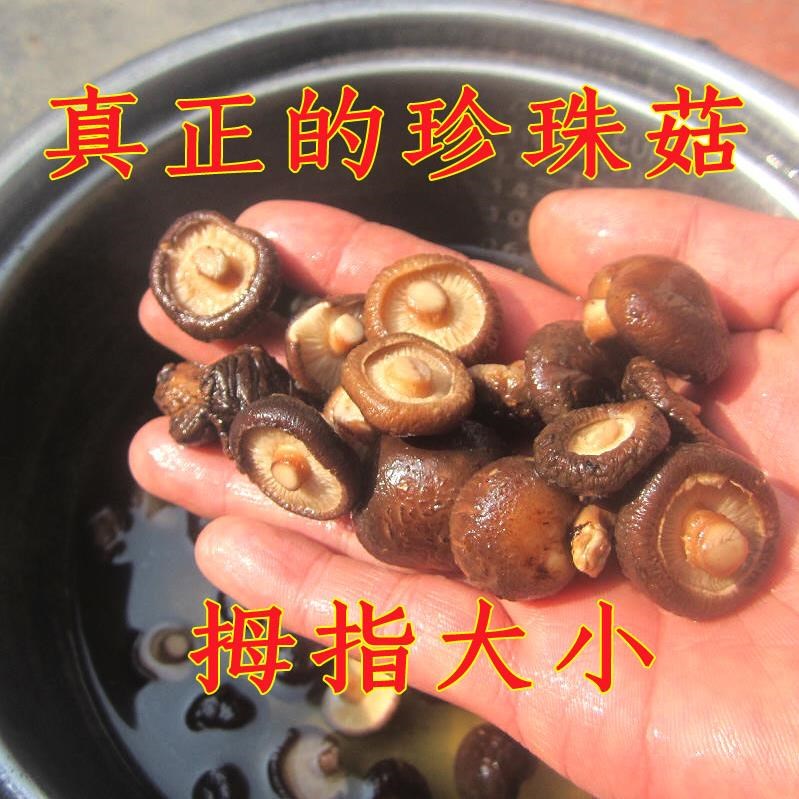 新货小香菇干货特小小香菇500g新货珍珠菇金钱菇迷你冬菇精选香。|ruв категории зерно риса/север и Юг сухих грузов/приправы, север и Юг сухих грузов/мясо сухих грузов, сухогрузный/родной, грибов - от Buy2taobao.com для оказания профессиональной услуги покупки агента Taobao