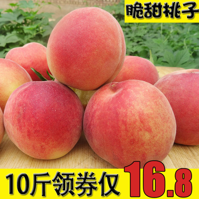 现摘现发水蜜桃子脆甜毛桃当季水果桃子新鲜5应季10斤非无锡阳山